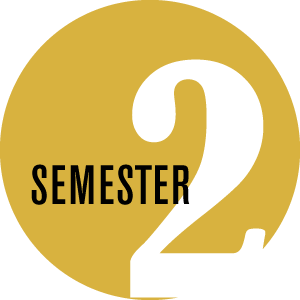semester2-WEB